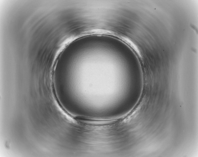 X0000093251381200710241306