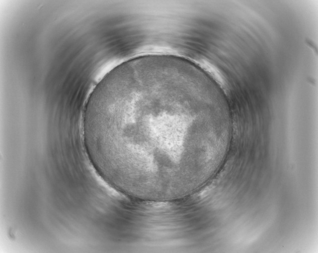 X0000093251382200710241306