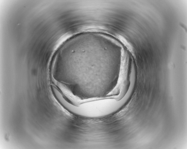 X0000093251384200710241306