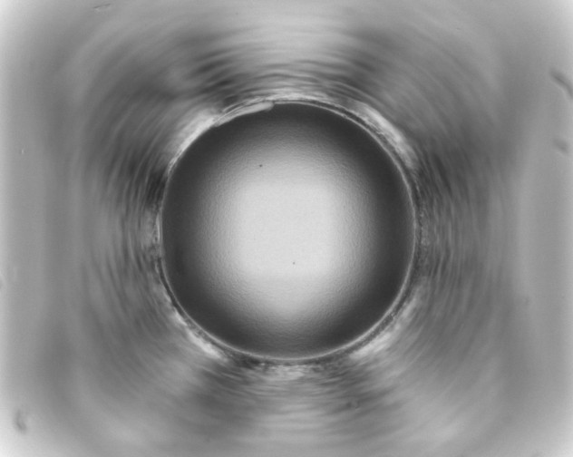 X0000093251385200710241306