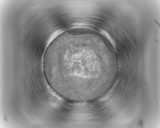 X0000093251386200710241306