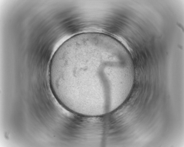 X0000093251387200710241306