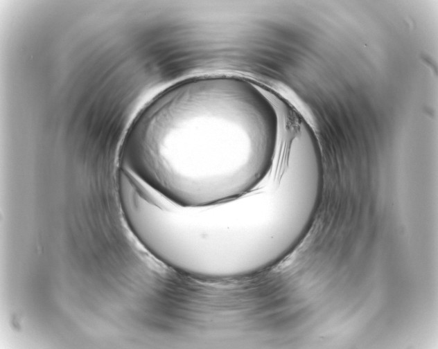 X0000093251388200710241306