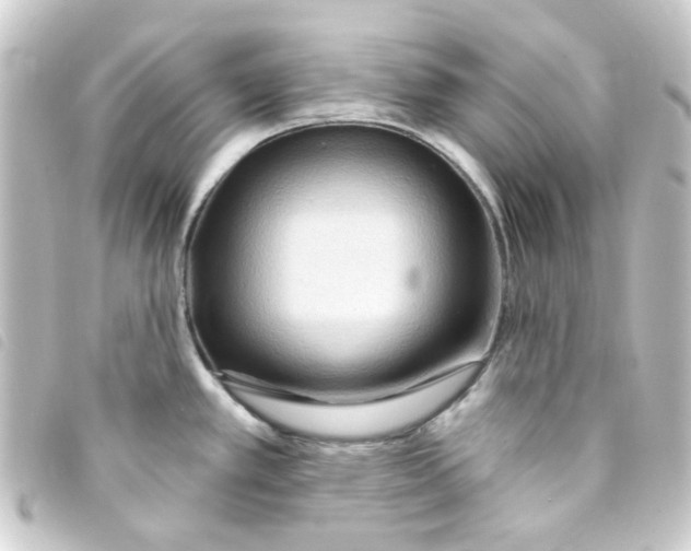 X0000093251389200710241306