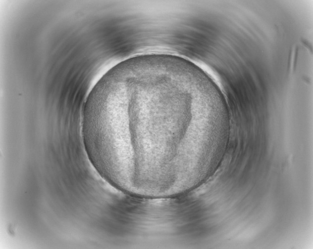 X0000093251390200710241306