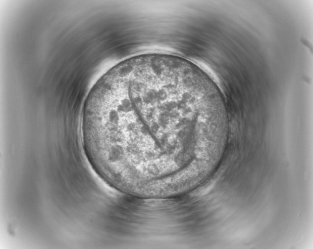 X0000093251391200710241306