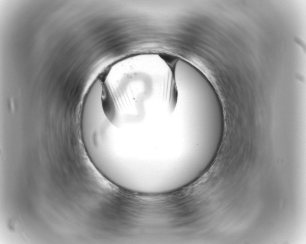 X0000093251392200710241306