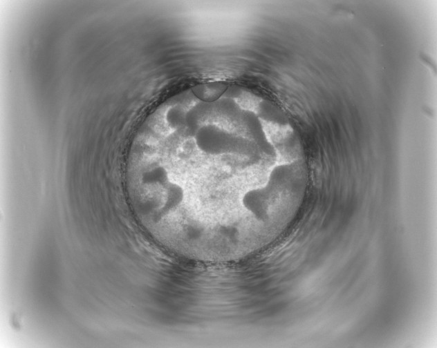 X0000093251393200710241305