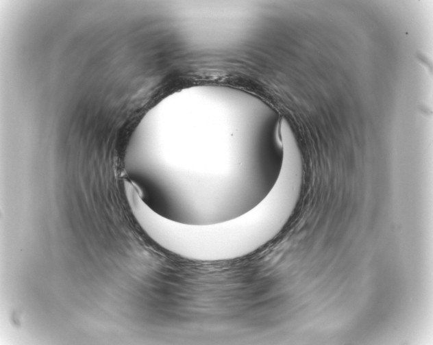 X0000093251394200710241305