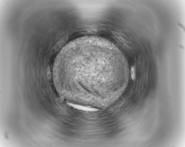 X0000093251395200710241305