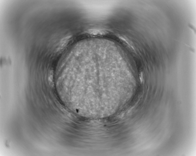 X0000093251396200710241305