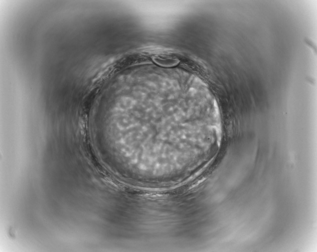 X0000093251397200710241305