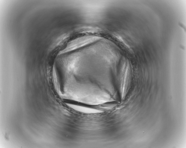 X0000093251399200710241305