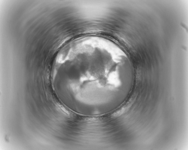 X0000093251401200710241305