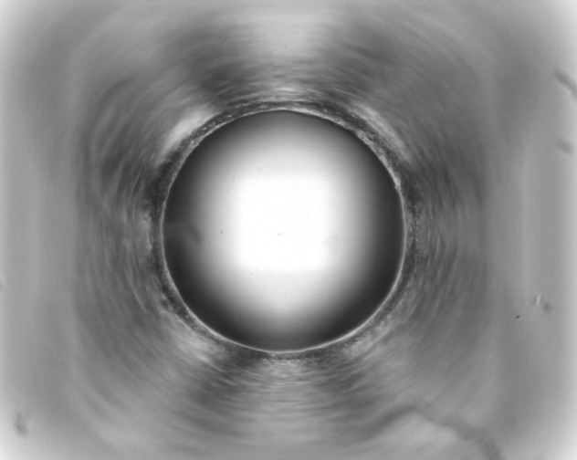 X0000093251402200710241305