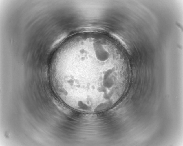 X0000093251403200710241305