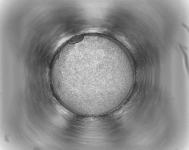 X0000093251404200710241305