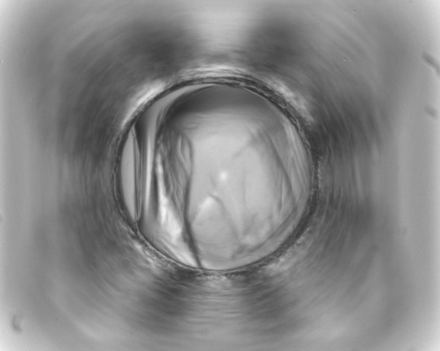 X0000093251405200710241305