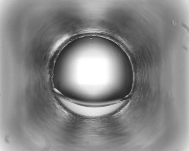 X0000093251406200710241305