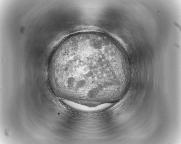 X0000093251407200710241305