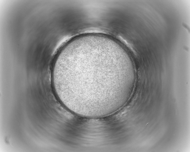 X0000093251408200710241305