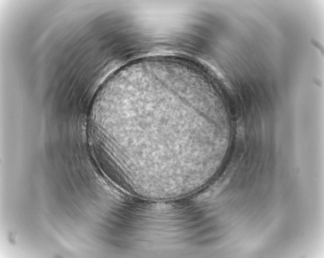 X0000093251409200710241305