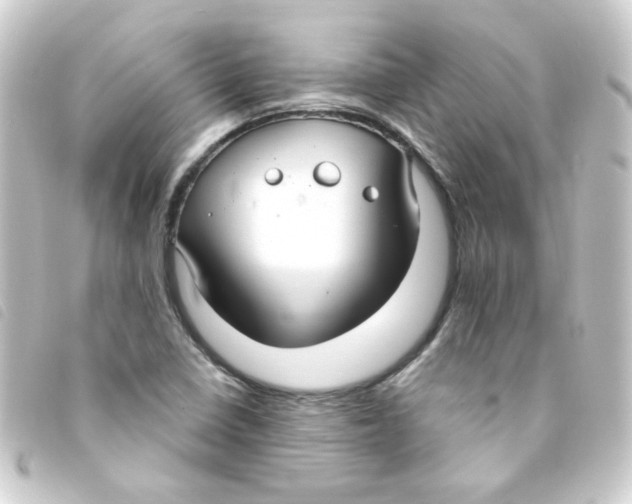 X0000093251410200710241305