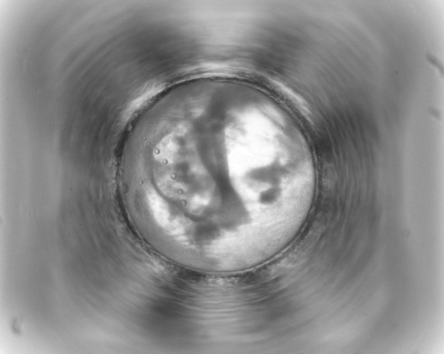 X0000093251411200710241306