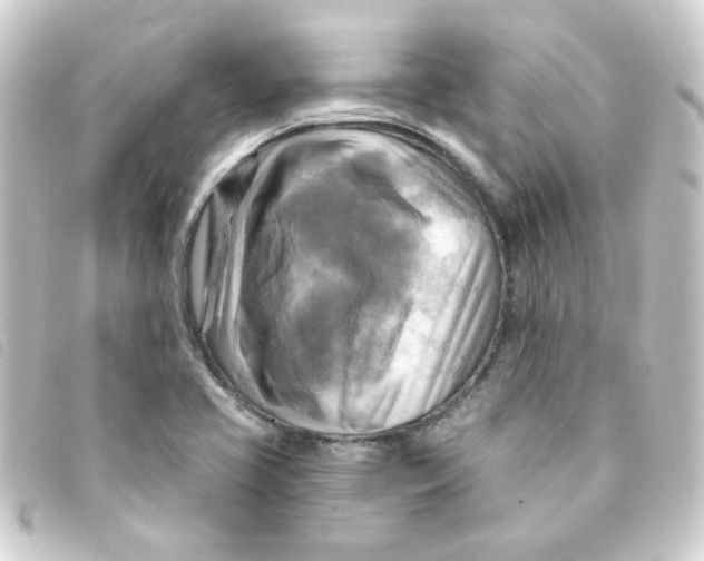 X0000093251413200710241306