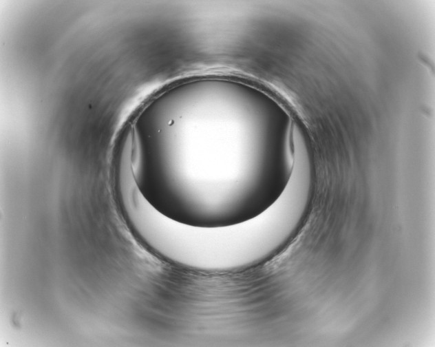 X0000093251414200710241306