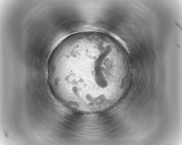 X0000093251415200710241306