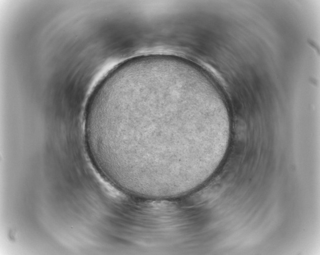 X0000093251416200710241306