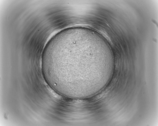 X0000093251420200710241306