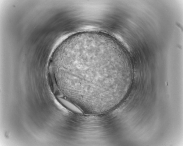 X0000093251421200710241306