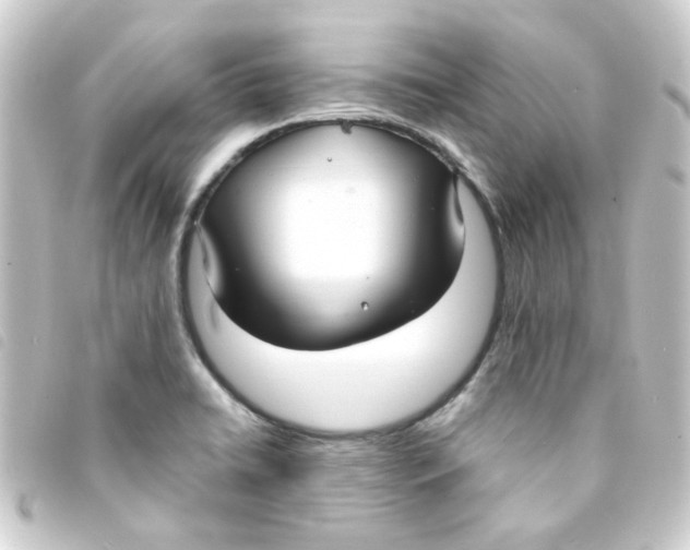 X0000093251422200710241306