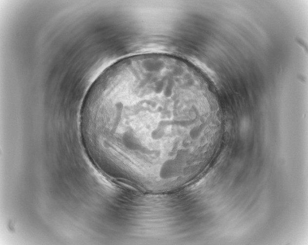 X0000093251423200710241306