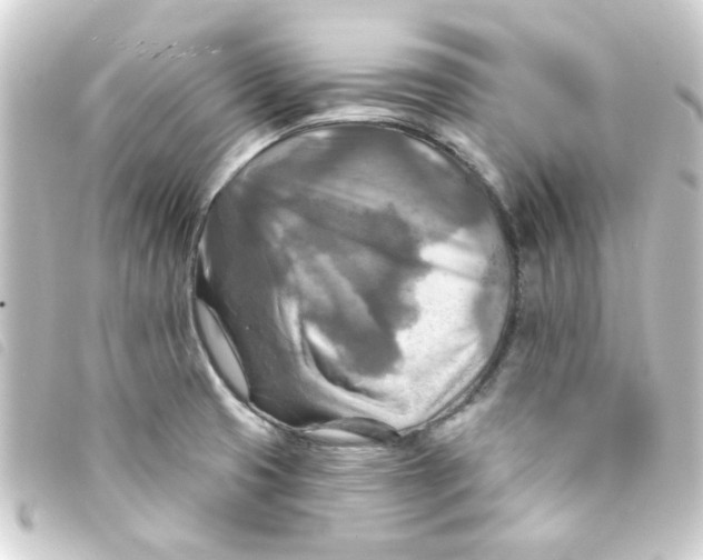 X0000093251425200710241306