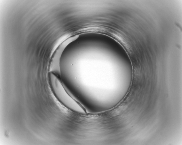 X0000093251426200710241306