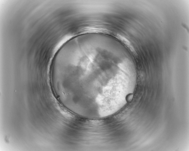 X0000093251427200710241306