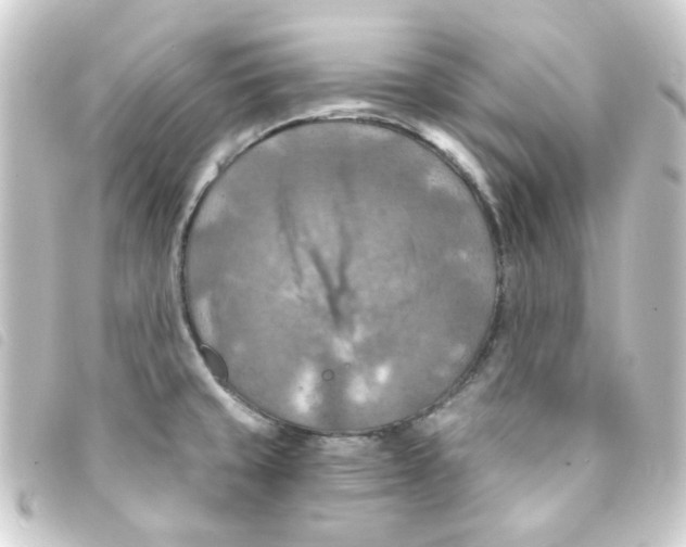 X0000093251429200710241306