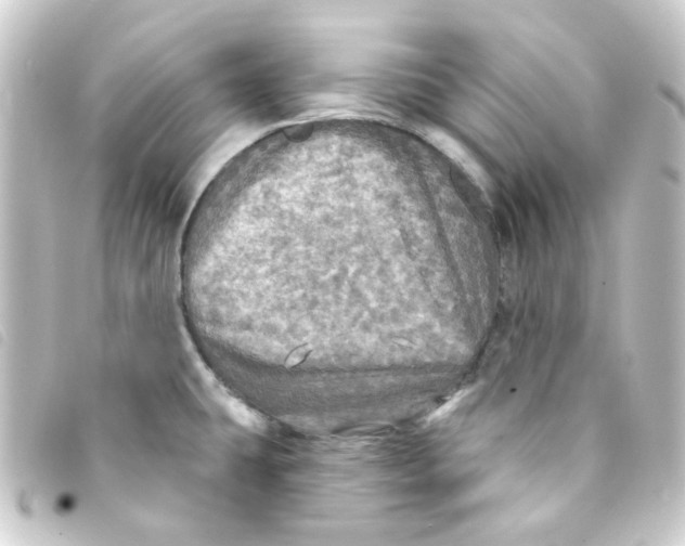 X0000093251431200710241306