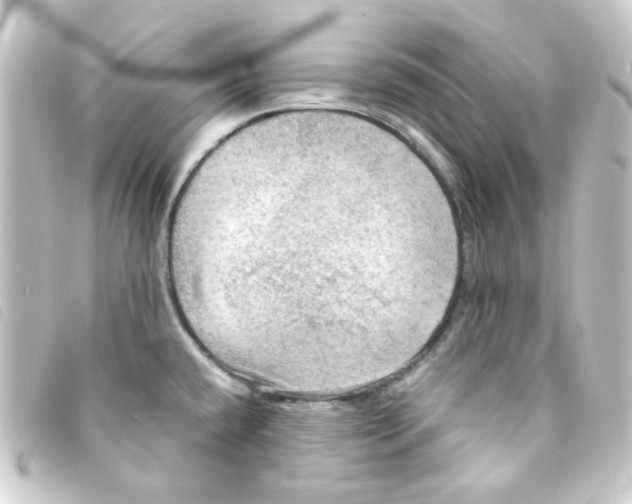 X0000093251432200710241306