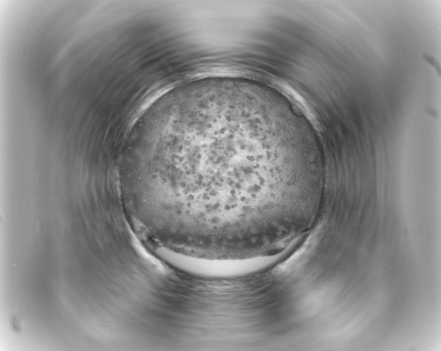 X0000093251433200710241306
