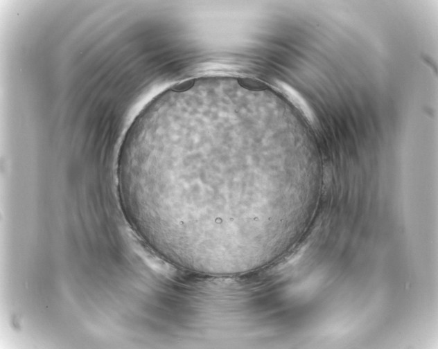 X0000093251435200710241306