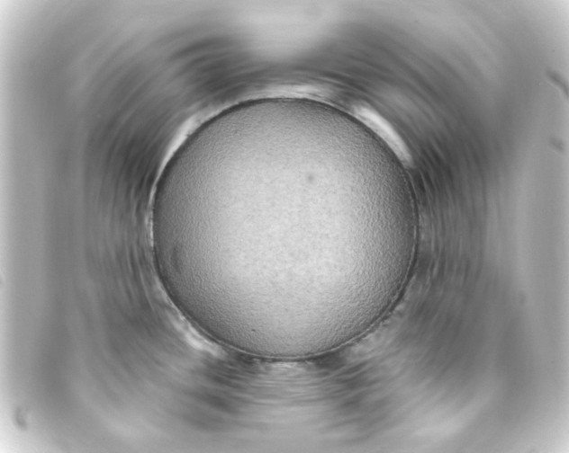 X0000093251436200710241306