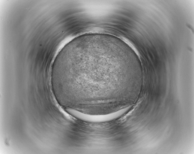 X0000093251437200710241306