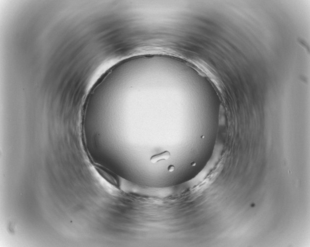 X0000093251438200710241306