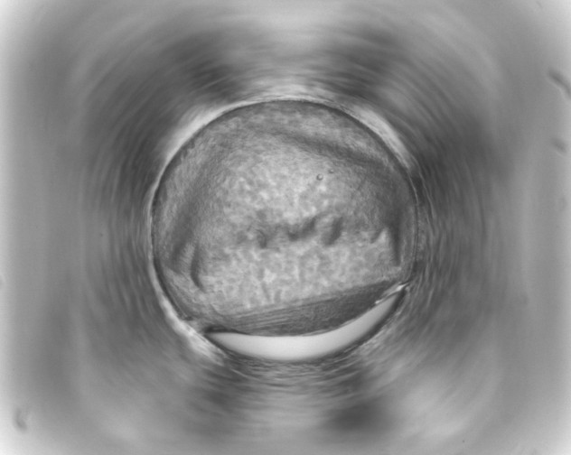 X0000093251439200710241306