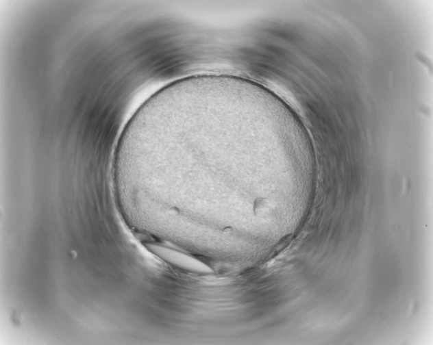 X0000093251440200710241306