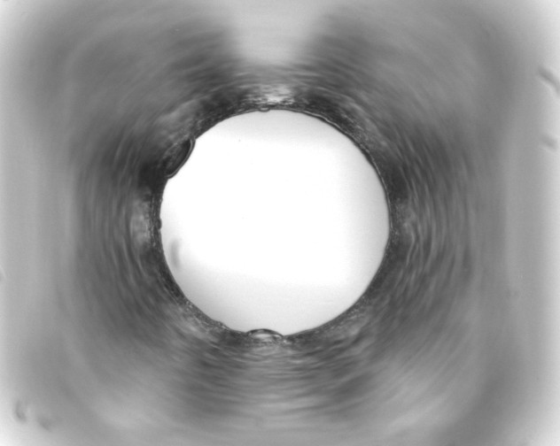 X0000093251442200710241305